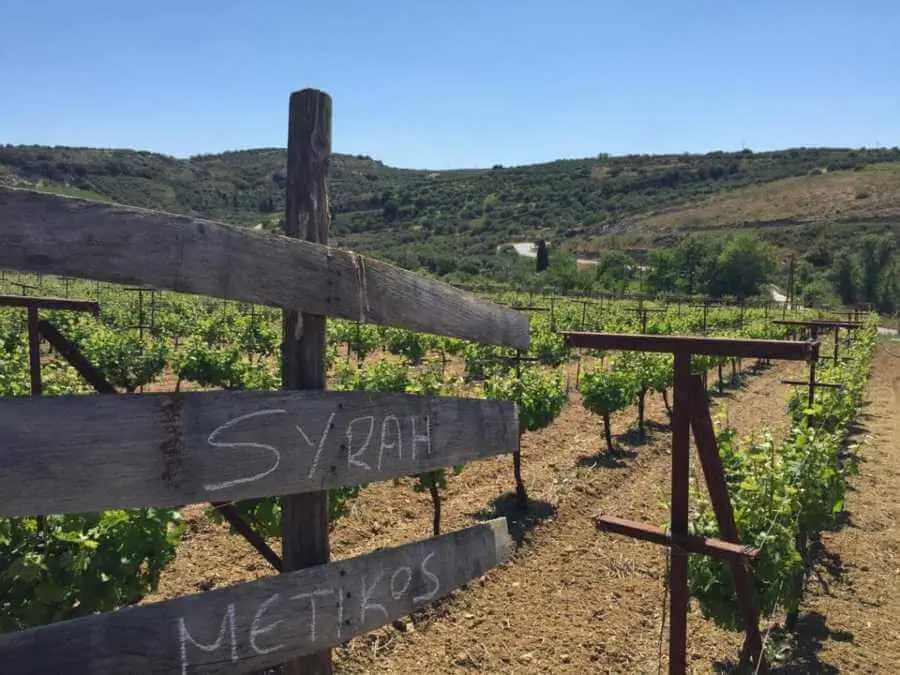minos-wines-heraklion-crete
